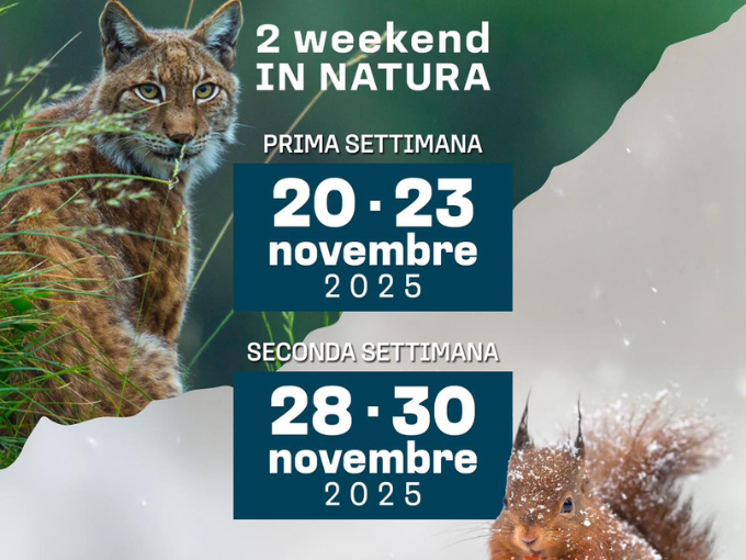 Sondrio Festival 2025