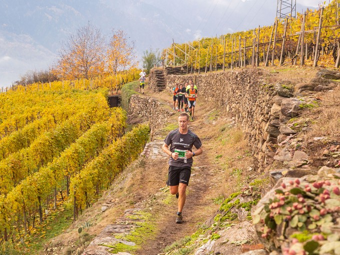 Valtellina Wine Trail 2025